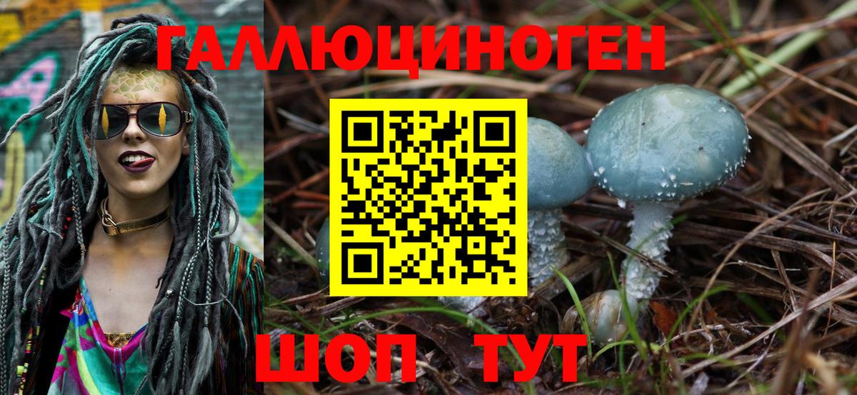 Псилоцибиновые грибы прущие грибы Саранск