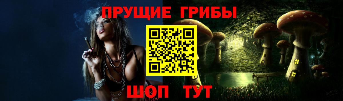 Саранск  Псилоцибиновые грибы прущие грибы  Псилоцибиновые грибы прущие грибы  Вход с VPN 